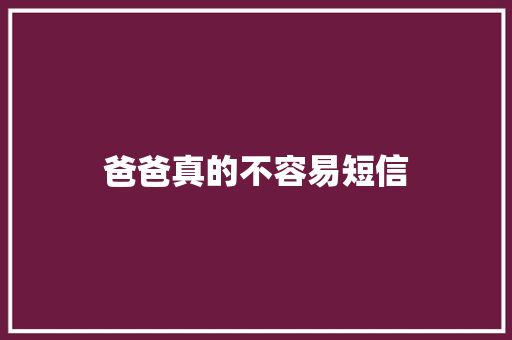 爸爸真的不容易短信