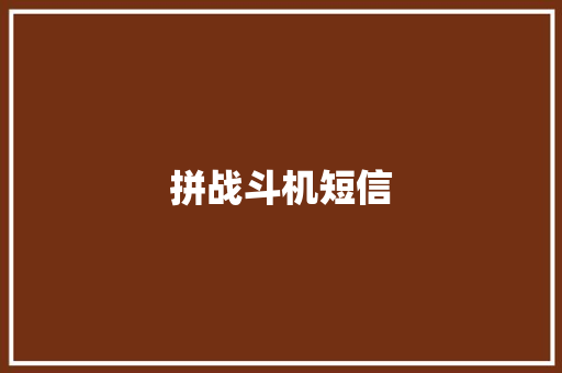 拼战斗机短信