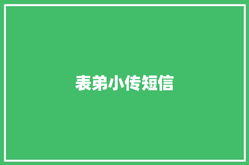 表弟小传短信