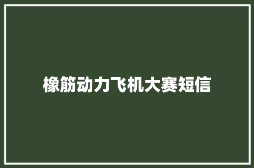 橡筋动力飞机大赛短信