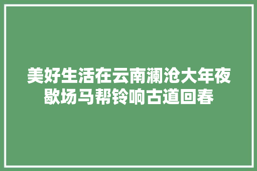 美好生活在云南澜沧大年夜歇场马帮铃响古道回春