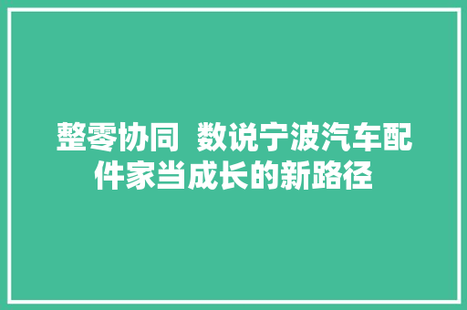 整零协同  数说宁波汽车配件家当成长的新路径
