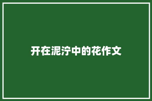 开在泥泞中的花作文