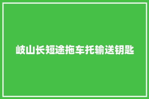 岐山长短途拖车托输送钥匙 汽车知识