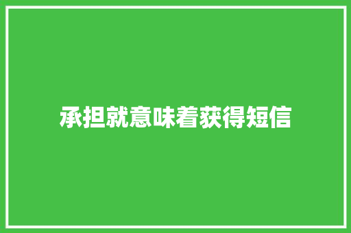 承担就意味着获得短信