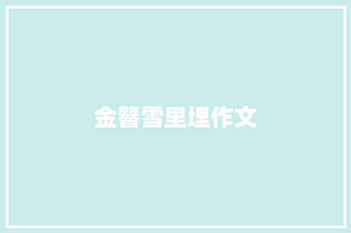 金簪雪里埋作文