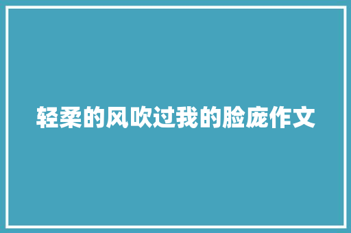 轻柔的风吹过我的脸庞作文