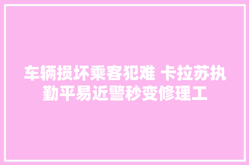 车辆损坏乘客犯难 卡拉苏执勤平易近警秒变修理工