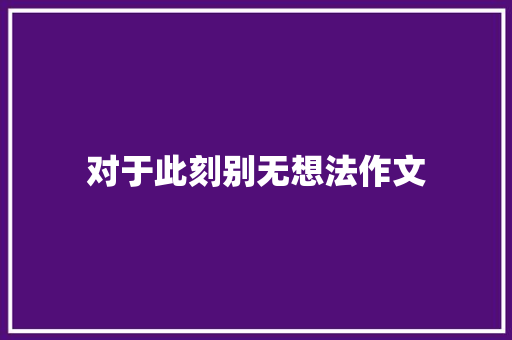 对于此刻别无想法作文