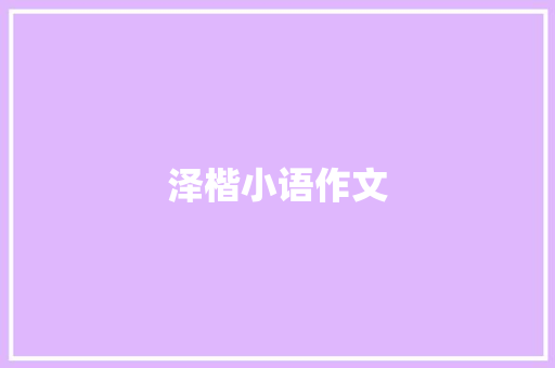 泽楷小语作文