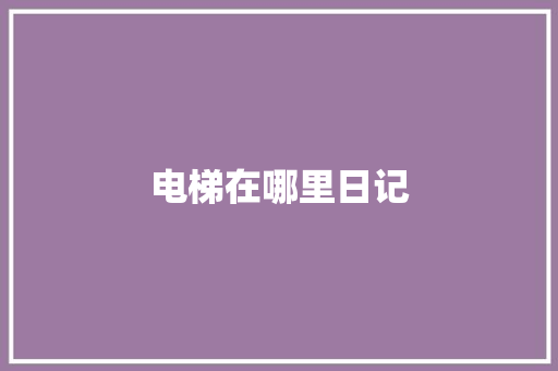 电梯在哪里日记