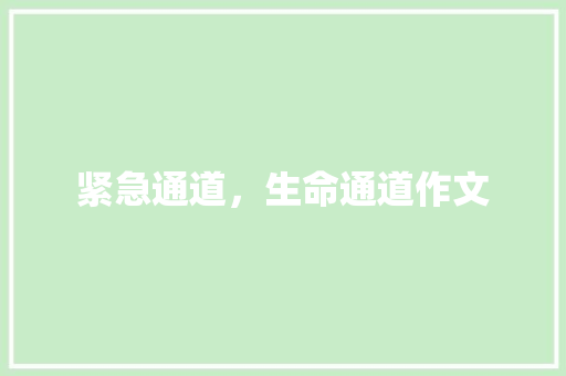 紧急通道，生命通道作文