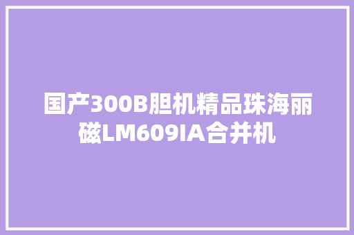 国产300B胆机精品珠海丽磁LM609IA合并机