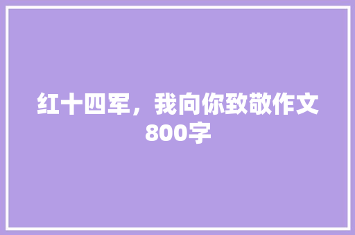 红十四军，我向你致敬作文800字