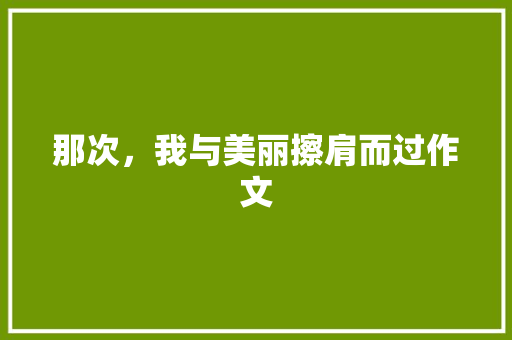 那次，我与美丽擦肩而过作文