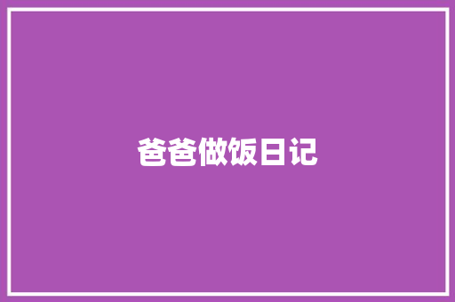 爸爸做饭日记