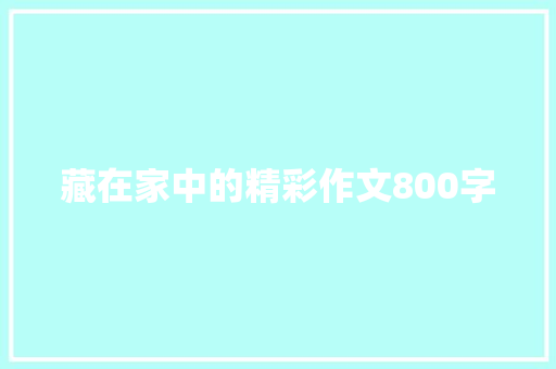 藏在家中的精彩作文800字