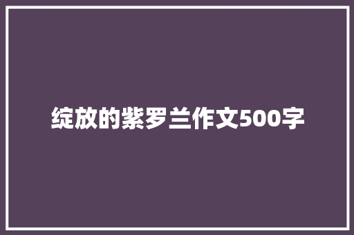 绽放的紫罗兰作文500字