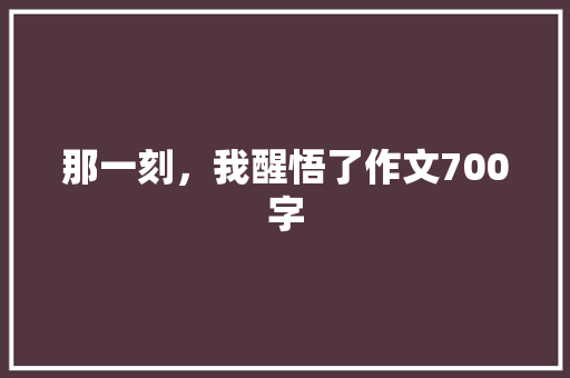 那一刻，我醒悟了作文700字