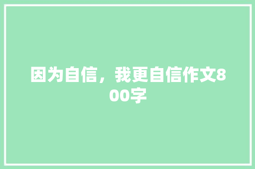 因为自信，我更自信作文800字