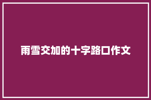 雨雪交加的十字路口作文