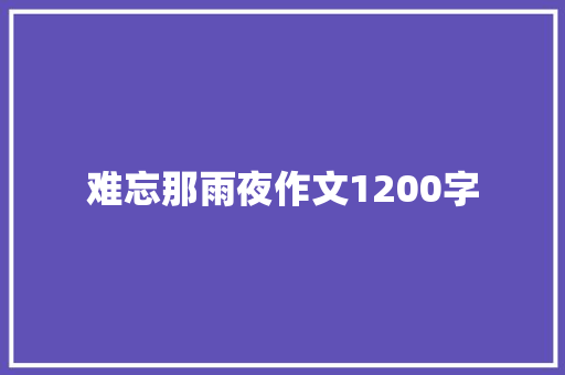 难忘那雨夜作文1200字