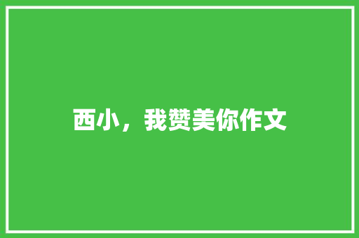 西小，我赞美你作文