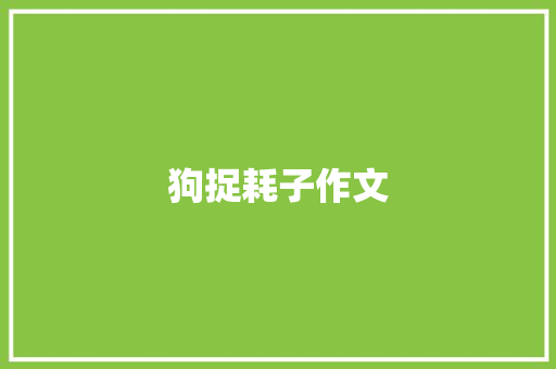 狗捉耗子作文