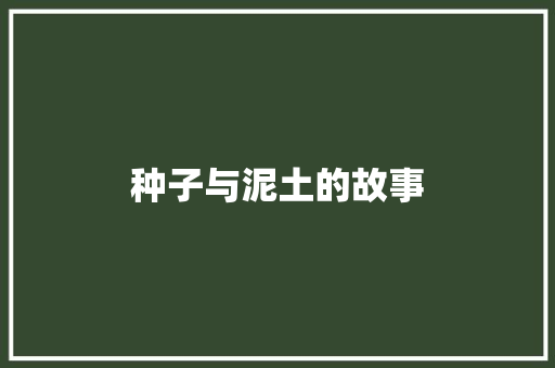 种子与泥土的故事