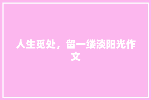 人生觅处，留一缕淡阳光作文