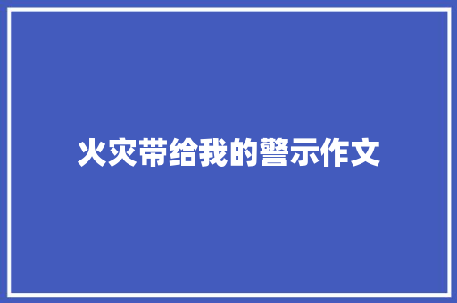 火灾带给我的警示作文