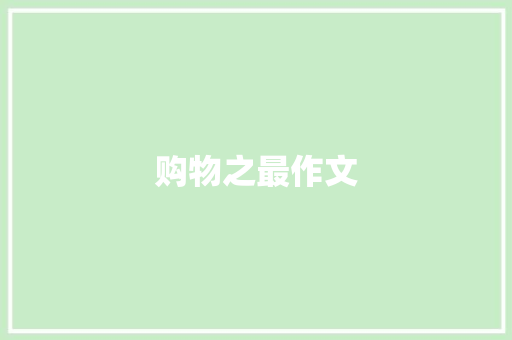 购物之最作文