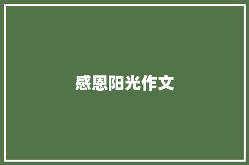 感恩阳光作文