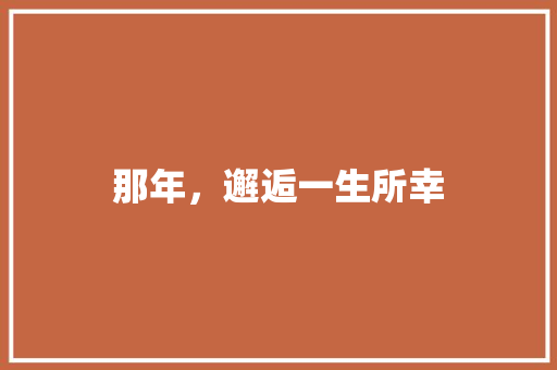 那年，邂逅一生所幸