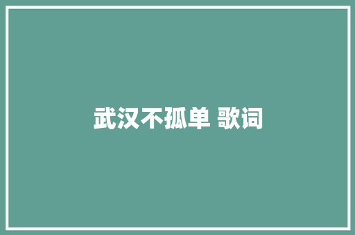 武汉不孤单 歌词 休闲娱乐