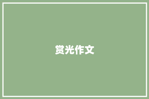 赏光作文