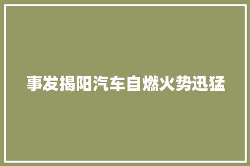 事发揭阳汽车自燃火势迅猛