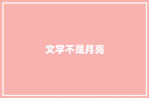 文学不是月亮