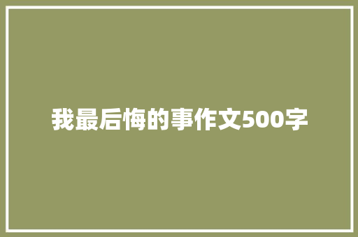 我最后悔的事作文500字