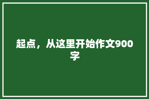 起点，从这里开始作文900字