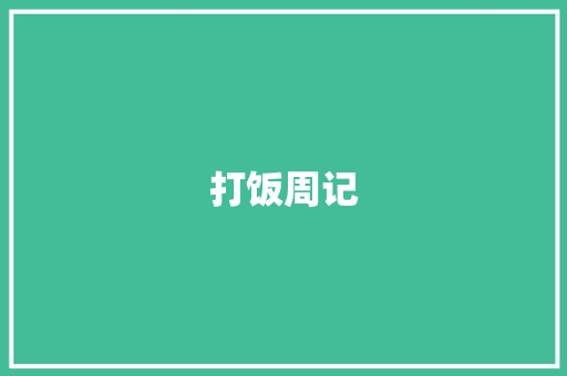 打饭周记