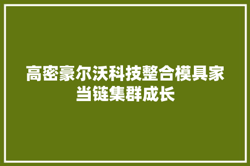 高密豪尔沃科技整合模具家当链集群成长