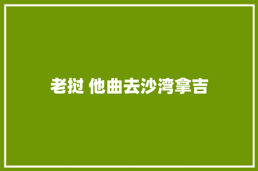 老挝 他曲去沙湾拿吉