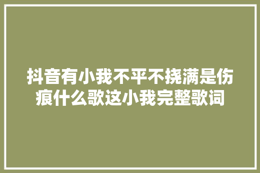 抖音有小我不平不挠满是伤痕什么歌这小我完整歌词 休闲娱乐