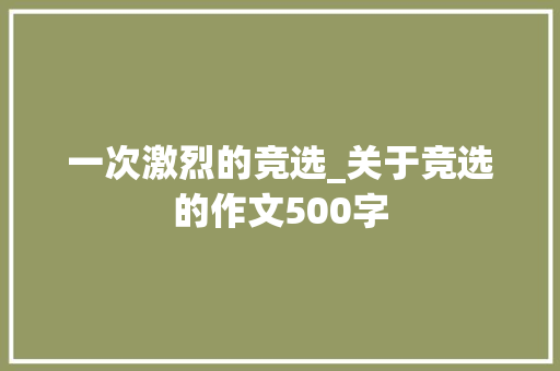 一次激烈的竞选_关于竞选的作文500字