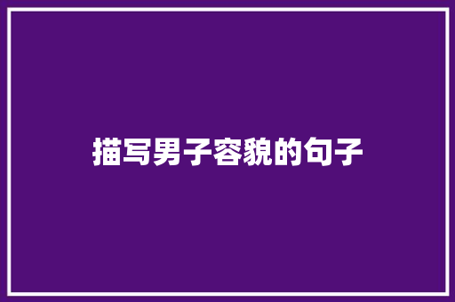 描写男子容貌的句子