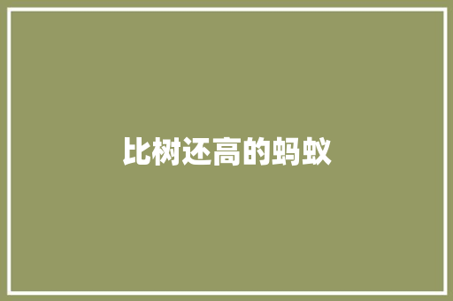 比树还高的蚂蚁