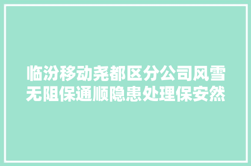 临汾移动尧都区分公司风雪无阻保通顺隐患处理保安然