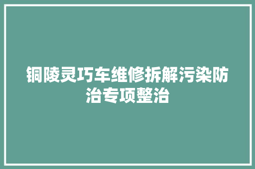 铜陵灵巧车维修拆解污染防治专项整治