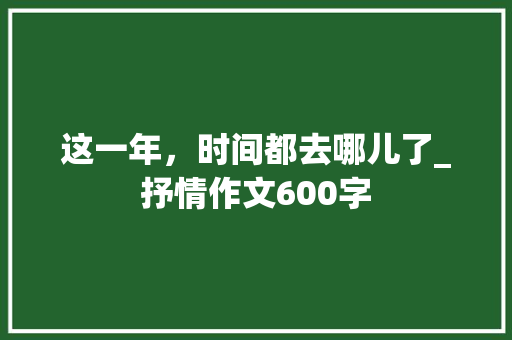 这一年，时间都去哪儿了_抒情作文600字